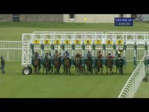 Video preview image for Musselburgh 16:55 - Boogie In The Morning Handicap (Qualifier For The 15,000 Betfair Scottish Stayers Series Final)