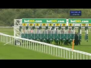 Video preview image for Newmarket 15:30 - Bet365 Criterion Stakes (Group 3)