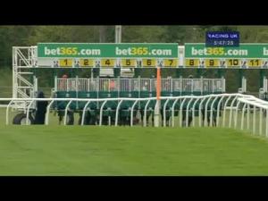 Video preview image for Newmarket 17:45 - Bet365 EBF Stallions Fillies' Handicap