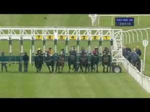 Video preview image for Catterick Bridge 15:00 - ebfstallions.com Median Auction Maiden Stakes
