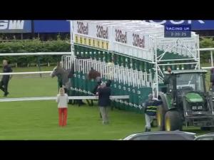 Video preview image for Haydock Park 14:20 - Glass Times Handicap