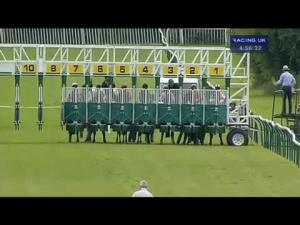 Video preview image for Warwick 16:55 - racinguk.com Median Auction Maiden Stakes