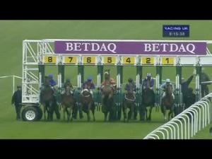 Video preview image for Haydock Park 20:15 - Irish Champions Weekend EBF Maiden Stakes