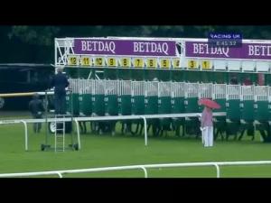 Video preview image for Haydock Park 20:45 - Millie Rose Memorial Maiden Stakes