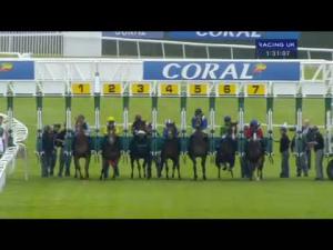 Video preview image for Sandown Park 13:30 - Gary Tuck Memorial Handicap