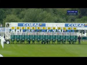 Video preview image for Sandown Park 14:40 - Coral Challenge (Handicap)