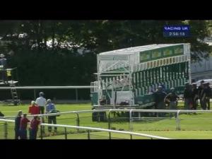 Video preview image for Haydock Park 14:55 - Bet365 Lancashire Oaks (Fillies' Group 2)