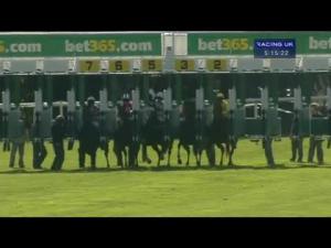 Video preview image for Haydock Park 17:15 - bet365.com Handicap