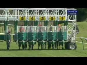 Video preview image for Ayr 14:30 - British Stallion Studs EBF Maiden Stakes
