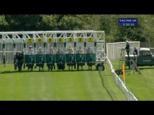 Video preview image for Catterick Bridge 14:30 - yorkshire-outdoors.co.uk Claiming Stakes