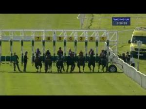 Video preview image for Catterick Bridge 17:30 - Racing Again Next Wednesday 16th July Handicap
