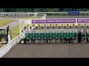 Video preview image for Kempton Park 19:50 - Irish Champions Weekend EBF Maiden Fillies' Stakes