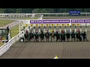 Video preview image for Kempton Park 21:20 - Betdaq - The Sports Betting Exchange Handicap