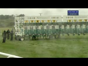 Video preview image for Newmarket 14:40 - Princess Of Wales's boylesports.com Stakes (Group 2)