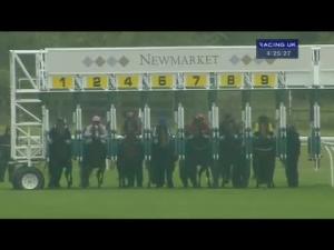 Video preview image for Newmarket 16:25 - Hastings Direct Sir Henry Cecil Stakes (Formerly The Stubbs Stakes) (Listed)