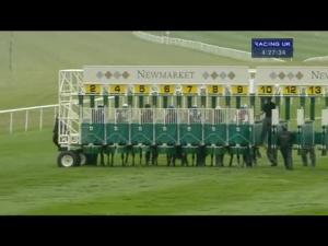 Video preview image for Newmarket 16:25 - Woodhurst Construction Maiden Stakes