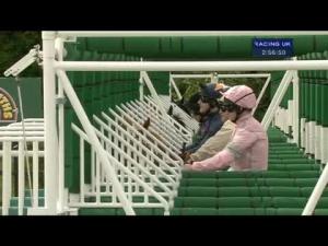 Video preview image for York 14:55 - 55th John Smith's Cup (Heritage Handicap)