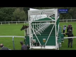 Video preview image for Ascot 15:40 - Norman Court Stud Fillies' Handicap (Str)