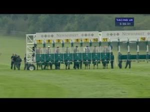 Video preview image for Newmarket 17:35 - Egerton House Stables Handicap