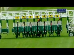 Video preview image for Hamilton Park 19:10 - Fair Friday Racenight Next Week Handicap