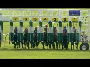 Video preview image for Ayr 17:00 - Instabet App Only At BetVictor Handicap