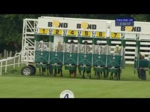 Video preview image for Beverley 15:30 - 129th Year Of The Watt Memorial Handicap