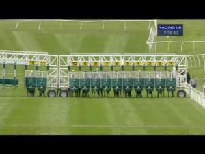 Video preview image for Catterick Bridge 14:30 - yorkshire-outdoors.co.uk Selling Stakes