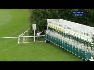Video preview image for Sandown Park 18:00 - Xl Group Handicap