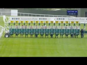 Video preview image for Sandown Park 18:35 - Berrylands Handicap