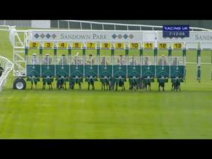 Video preview image for Sandown Park 19:10 - Raynes Park Maiden Auction Stakes