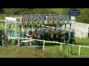 Video preview image for Hamilton Park 15:15 - Totepool Home Of Pool Betting Handicap
