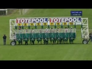 Video preview image for Hamilton Park 16:45 - 'The Horse Comes First' Handicap