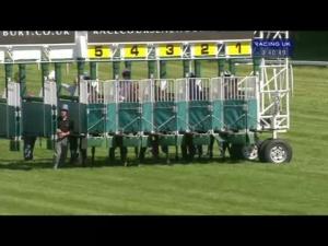 Video preview image for Newbury 15:40 - Rose Bowl Stakes - Sponsored By Compton Beauchamp Estates Ltd (Listed)