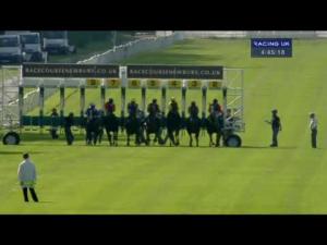 Video preview image for Newbury 16:45 - Tkp Surfacing Handicap