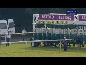 Video preview image for Haydock Park 17:25 - Betdaq Haydock Park Apprentice Training Series Handicap (Part Of The Racing Excellence Initiative)