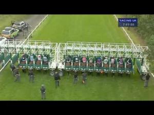 Video preview image for Hamilton Park 19:40 - John Smith's Scottish Stewards' Cup (Handicap)
