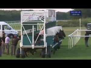 Video preview image for Newmarket 20:25 - All New 32redsport.com Maiden Stakes