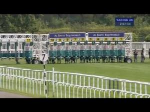 Video preview image for Newbury 14:05 - Al Basti Equiworld EBF Breeding Winners Fillies' Handicap (Str)