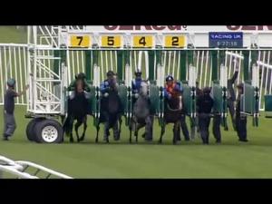 Video preview image for Haydock Park 18:25 - Celebrate 10 Years With Racing UK Nursery