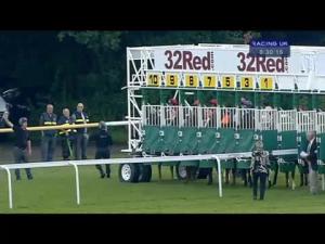 Video preview image for Haydock Park 20:30 - Download New Racing UK Ipad App Handicap