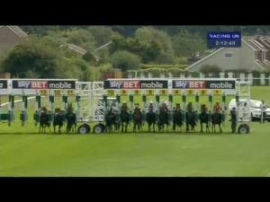 Video preview image for Redcar 14:10 - British Stallion Studs EBF Yorkshire Regiment Maiden Stakes