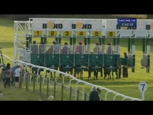 Video preview image for Beverley 19:45 - Weatherbys Stallion Book Handicap
