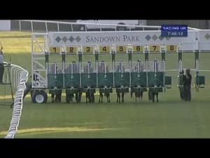 Video preview image for Sandown Park 19:45 - Teddington Handicap