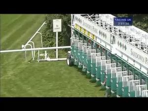 Video preview image for Sandown Park 14:00 - Molson Coors/Irish Stallion Farms EBF Maiden Stakes