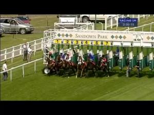 Video preview image for Sandown Park 14:30 - Weatherbys Stallion Book Handicap