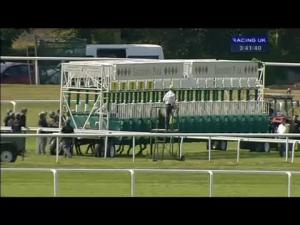 Video preview image for Sandown Park 15:40 - Odgers Berndtson Handicap