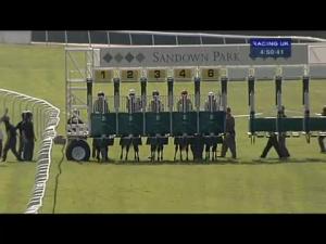 Video preview image for Sandown Park 16:50 - Lubricators Handicap