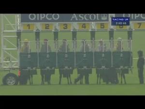 Video preview image for Ascot 14:45 - Mitie Total Security Management Nursery