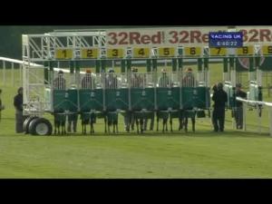 Video preview image for Newmarket 18:40 - Wild Duck Norfolk Woodland Retreat Nursery