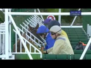 Video preview image for York 19:30 - British Stallion Studs EBF Lyric Fillies' Stakes (Listed)